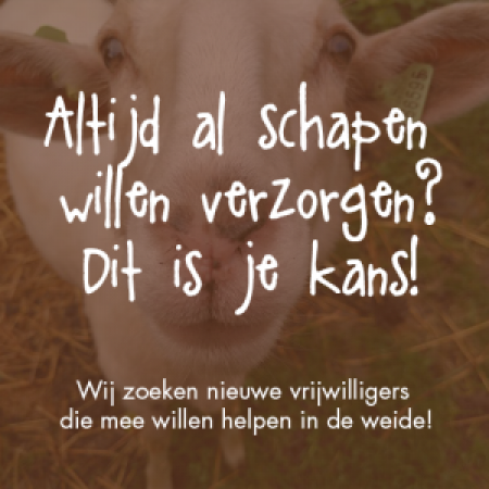 Wil jij ook parkherder worden?