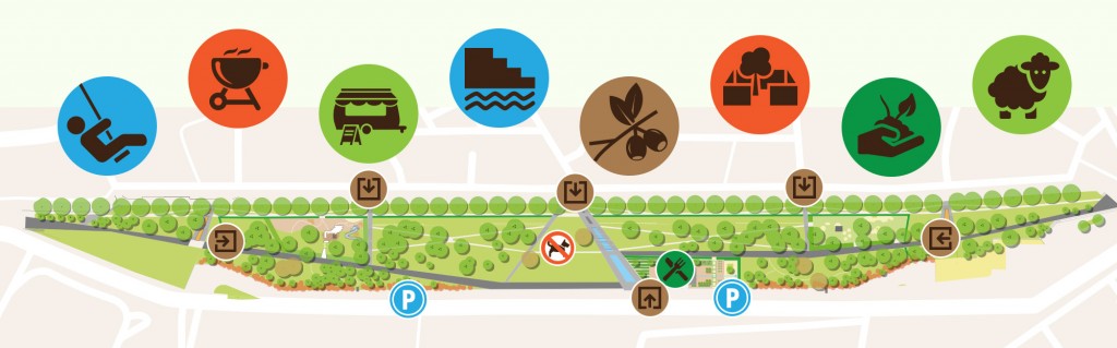 Graphic van de verschillende plekken voor activiteiten op het Dakpark Rotterdam.