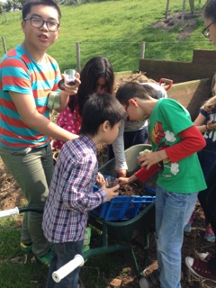 Moestuintjes voor kind en ouders