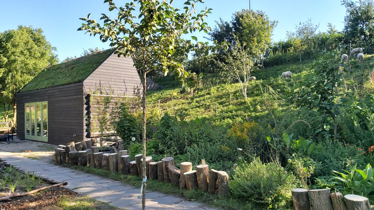 Open Dag Buurttuin