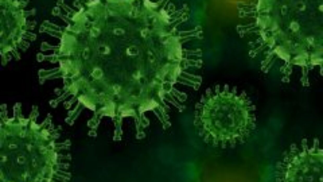 Corona update (28.10)