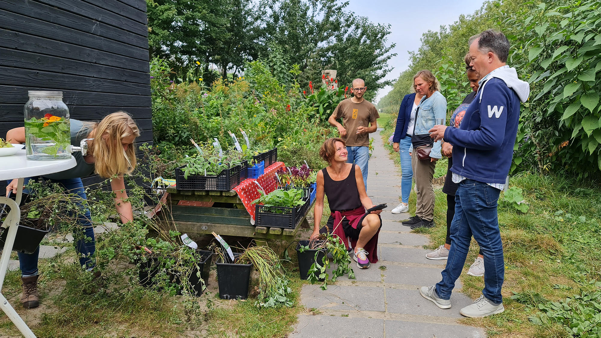 Een foto van een plantjesmarkt in de Buurttuin van het Dakpark