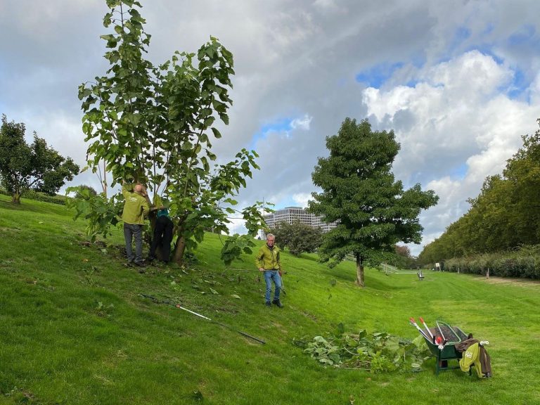 De groengroep van hety Dakpark begint weer op 14 januari.