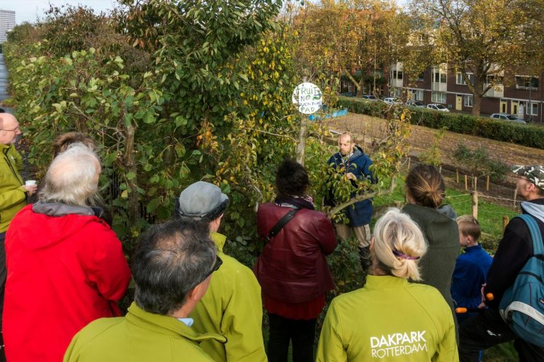 Workshop fruitbomen snoeien op het Dakpark.