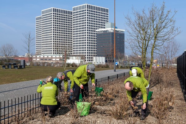 Workshop hortensia's snoeien met NLdoet op het Dakpark.